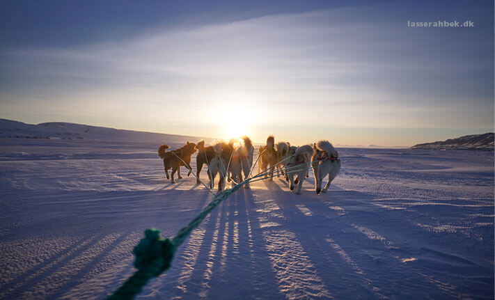 Grønland - Danmark